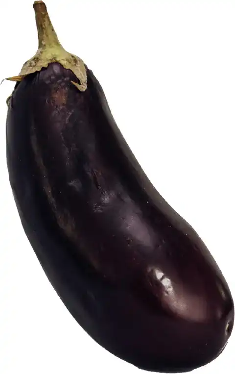 Un aubergine